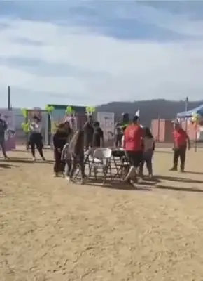 Equipo de voluntarios 4 Fundación Raimapu